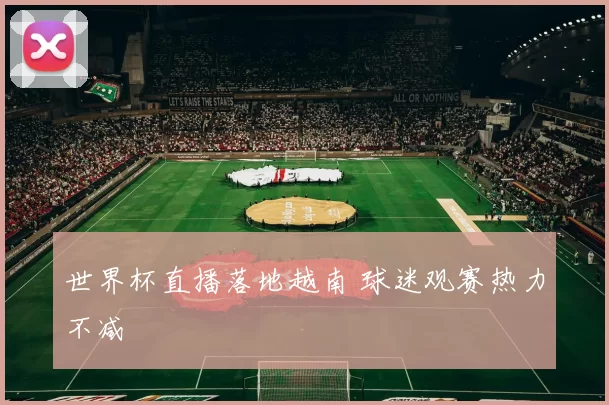 世界杯直播落地越南 球迷观赛热力不减