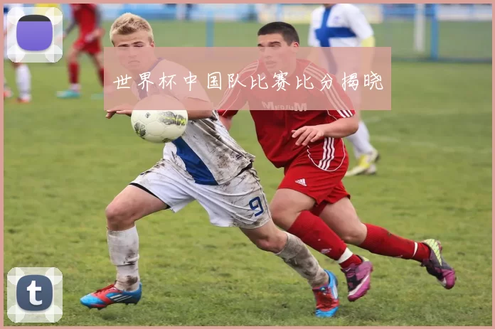 世界杯中国队比赛比分揭晓