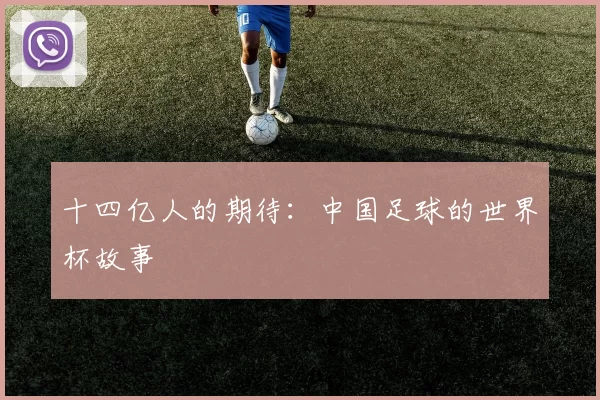 十四亿人的期待：中国足球的世界杯故事