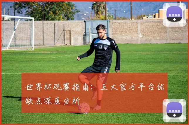 世界杯观赛指南:五大官方平台优缺点深度分析