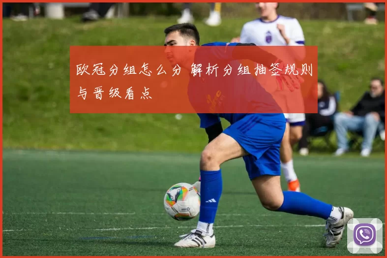 欧冠分组怎么分 解析分组抽签规则与晋级看点