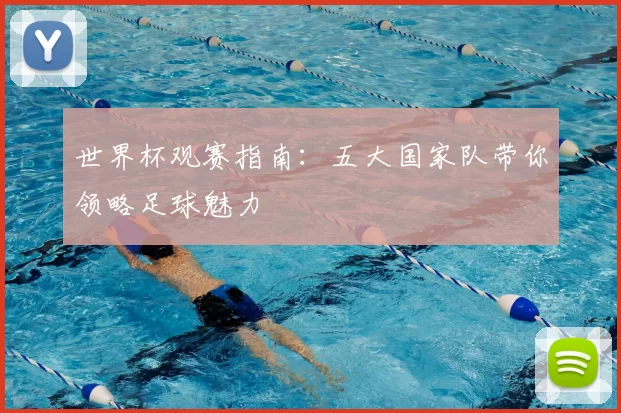 世界杯观赛指南:五大国家队带你领略足球魅力