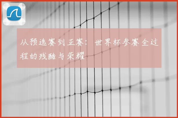 从预选赛到正赛:世界杯参赛全过程的残酷与荣耀