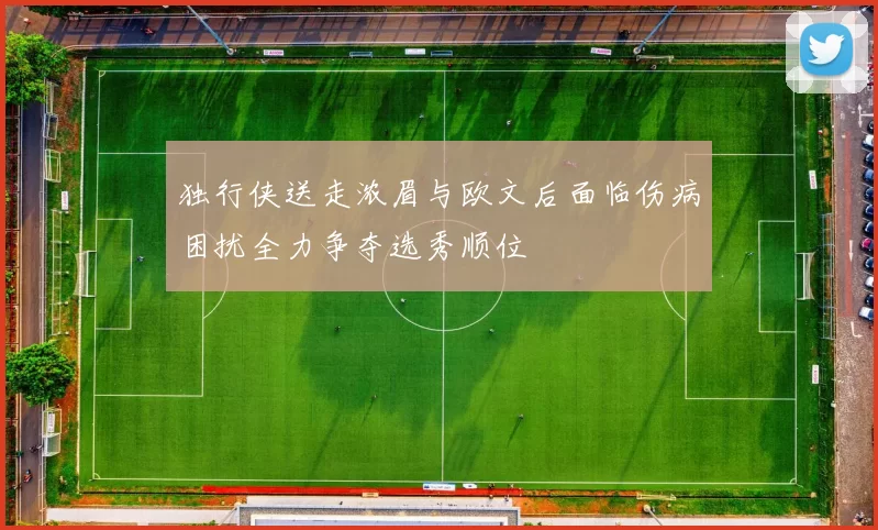 独行侠送走浓眉与欧文后面临伤病困扰全力争夺选秀顺位