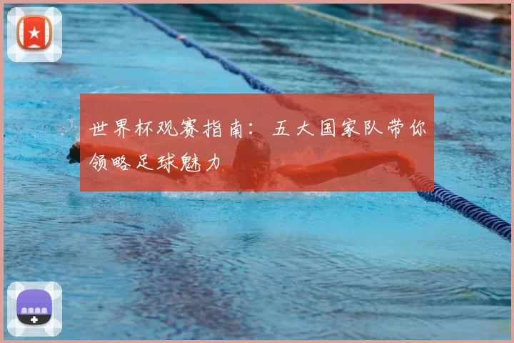 世界杯观赛指南：五大国家队带你领略足球魅力