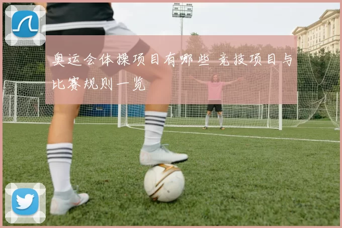 奥运会体操项目有哪些 竞技项目与比赛规则一览